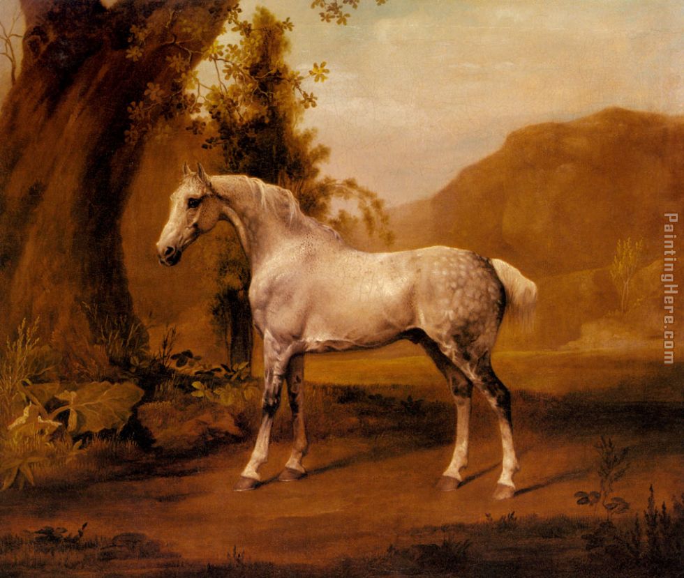 A Grey Stallion In A Landscape painting - George Stubbs A Grey Stallion In A Landscape art painting